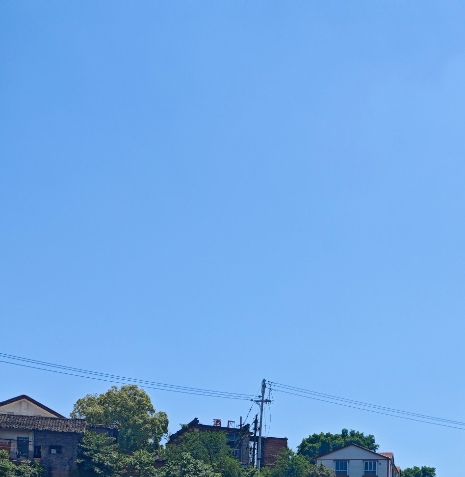 流浪动物落户计划我觉得流浪动物落户计划特别温暖又有意义。每一只流浪的小动物都渴望