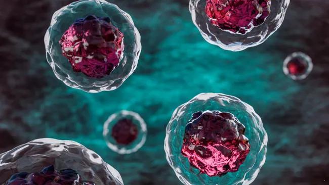 清除“僵尸细胞”：糖尿病治疗的新路径！长期以来，医学界一直在探索糖尿病发生与发展