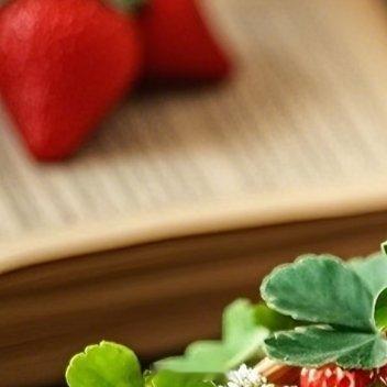 草莓的种植方法如下：‎种植文案一、选地与整地：选择阳光充足、排水良好的地块，土