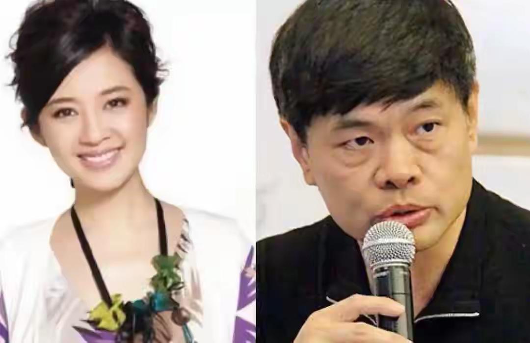 曾是央视当家花旦的许戈辉，事业一路顺风顺水，转头却成了人人诟病的第三者。她明知丁