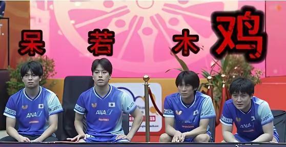 张本智和的狂傲被最终的结果定格为呆若木鸡，你就晕倒在厕嚎啕大哭去吧！以前对张本