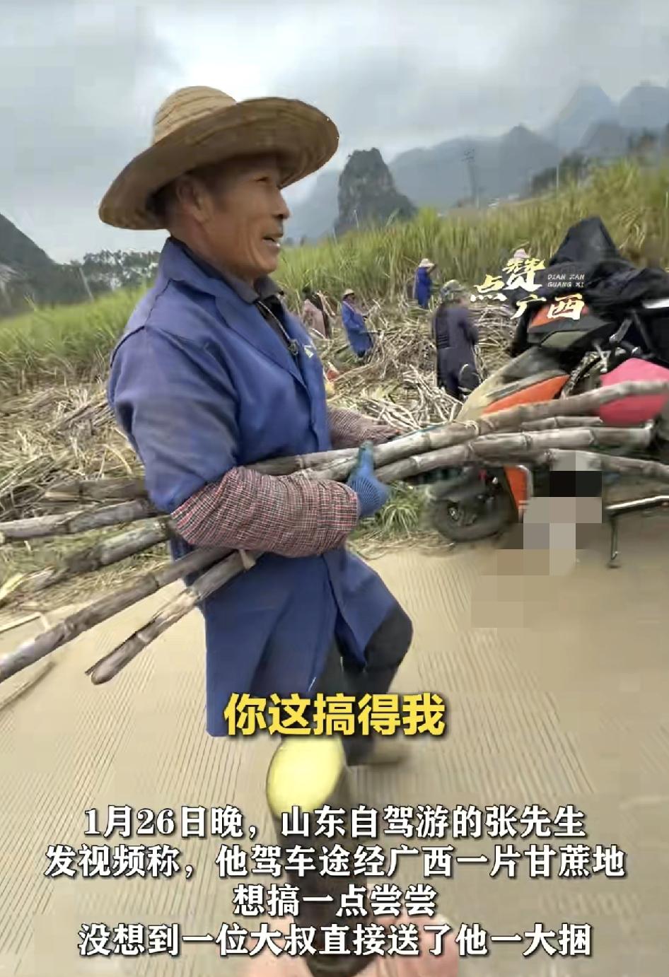 广西一位来自山东的网友在当地自驾游，一路上被许多村民投喂，来到一片甘蔗地时想拿一