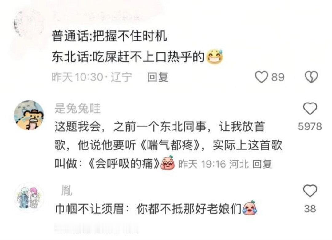 东北人禁止做翻译