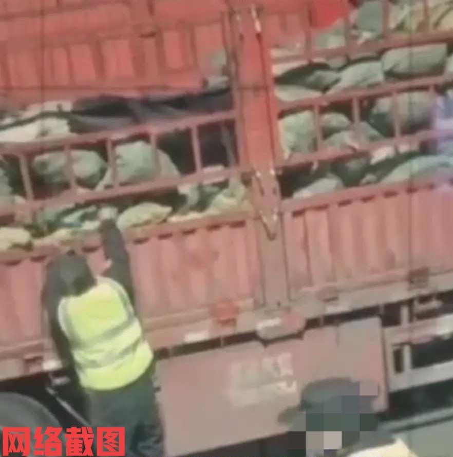 山东莱芜有大车司机车停高速服务区。只是大货司机半夜醒来看到有身穿保安制服的两