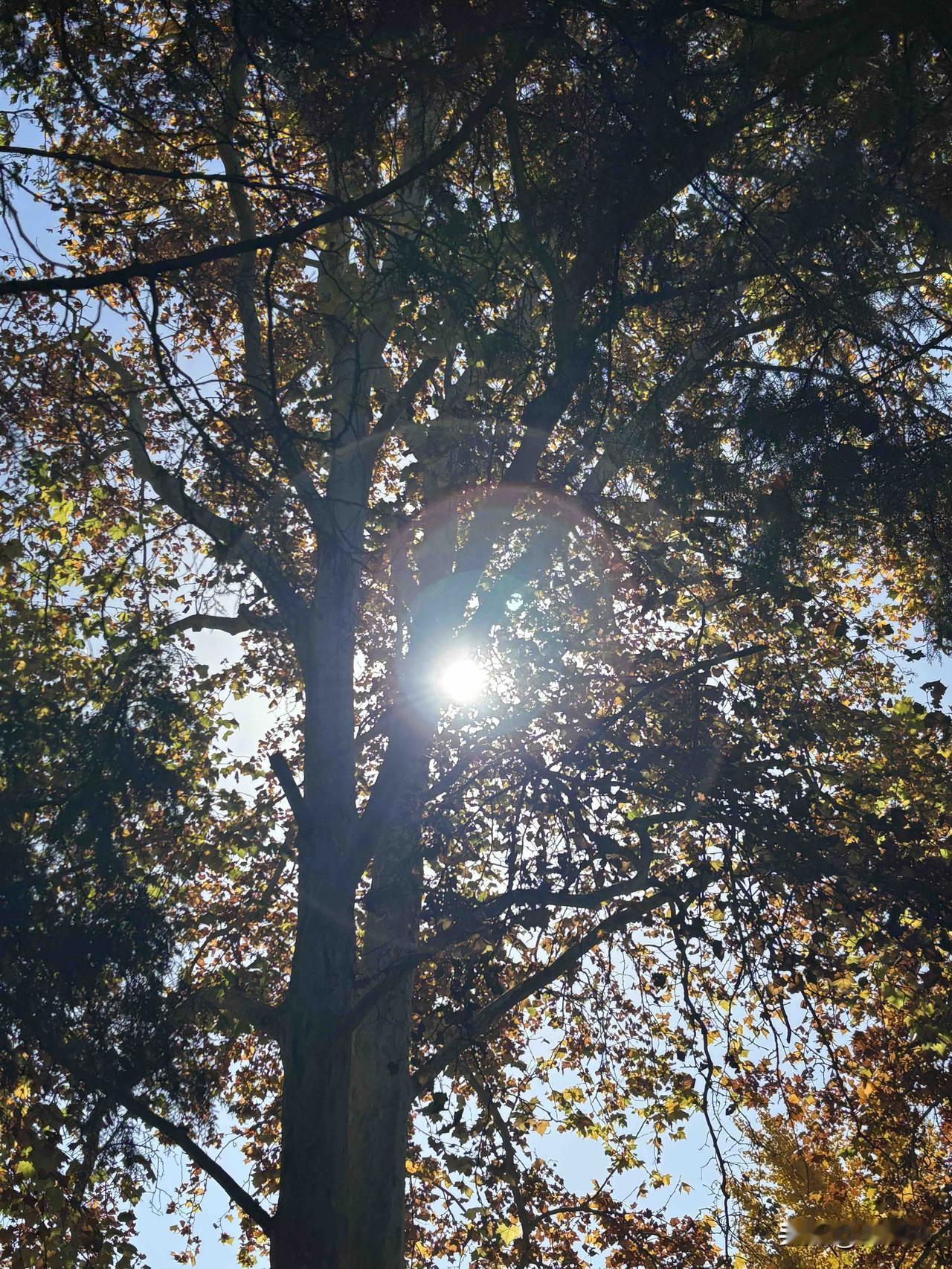 被一条评论共情了：“产房是我去的，手术台是我上的，孩子是我拿命换来的，奶是我喂的