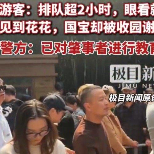 成都大熊猫繁育研究基地6号别墅外，游客排了两个多小时的队，眼看就要见到网红大熊猫