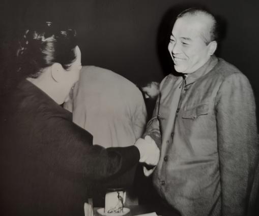 1953年9月，宋庆龄先生和彭老总亲切交谈。她是党内外人士都尊重的孙夫人，他是宋