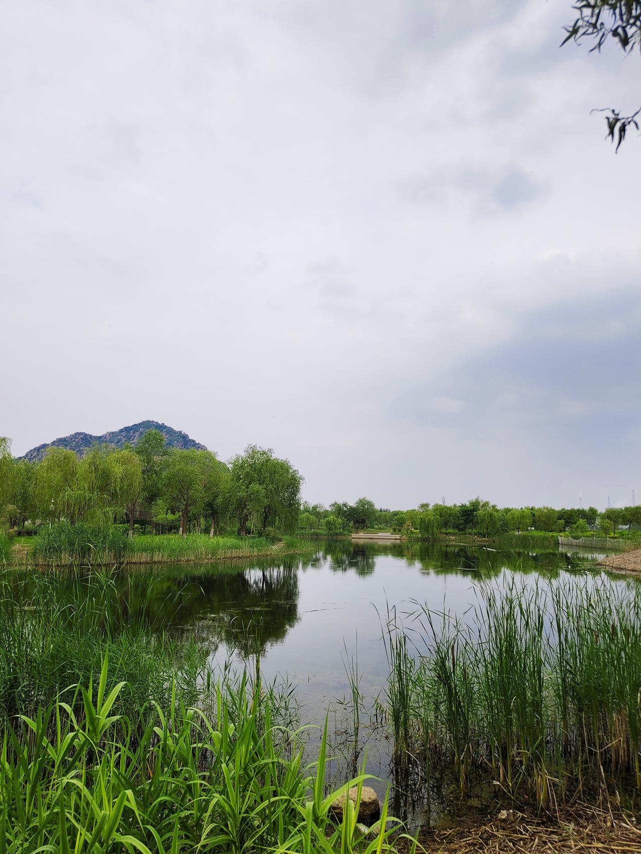 济南华山风景区面积很大，没有一天的时间估计转不过来。绕华山一圈，每个角度风景各有