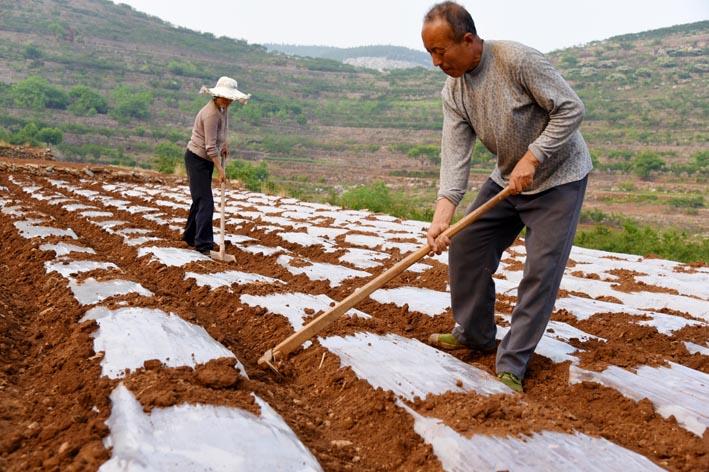 当下农村两种截然不同的人如果你到农村做一些比较深度的了解，一定会发现这样的景象