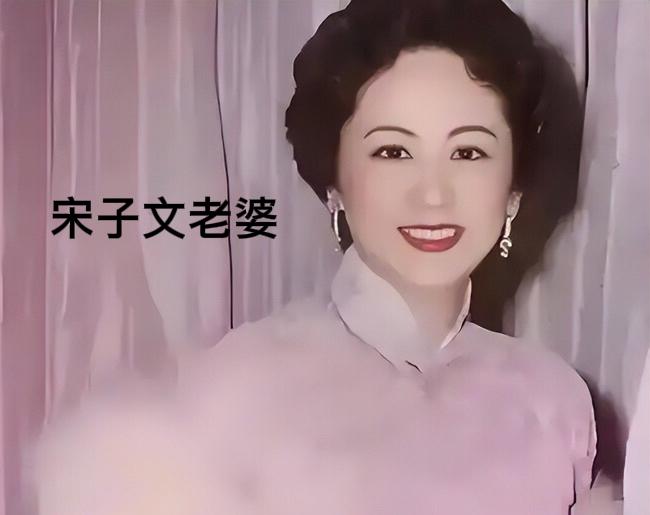 1933年，蒋介石打了宋子文一耳光。20年后（1953年），蒋介石又开除了宋子文