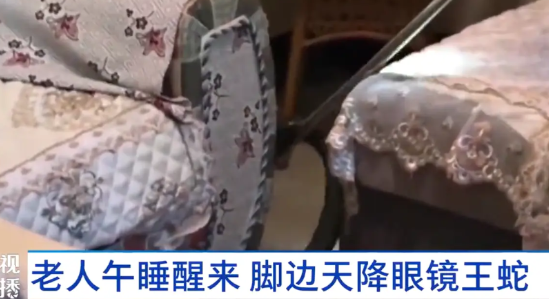“太吓人了！”贵州兴仁，一老人正在客厅沙发睡觉，迷迷糊糊中觉得脚边有些凉飕飕的，