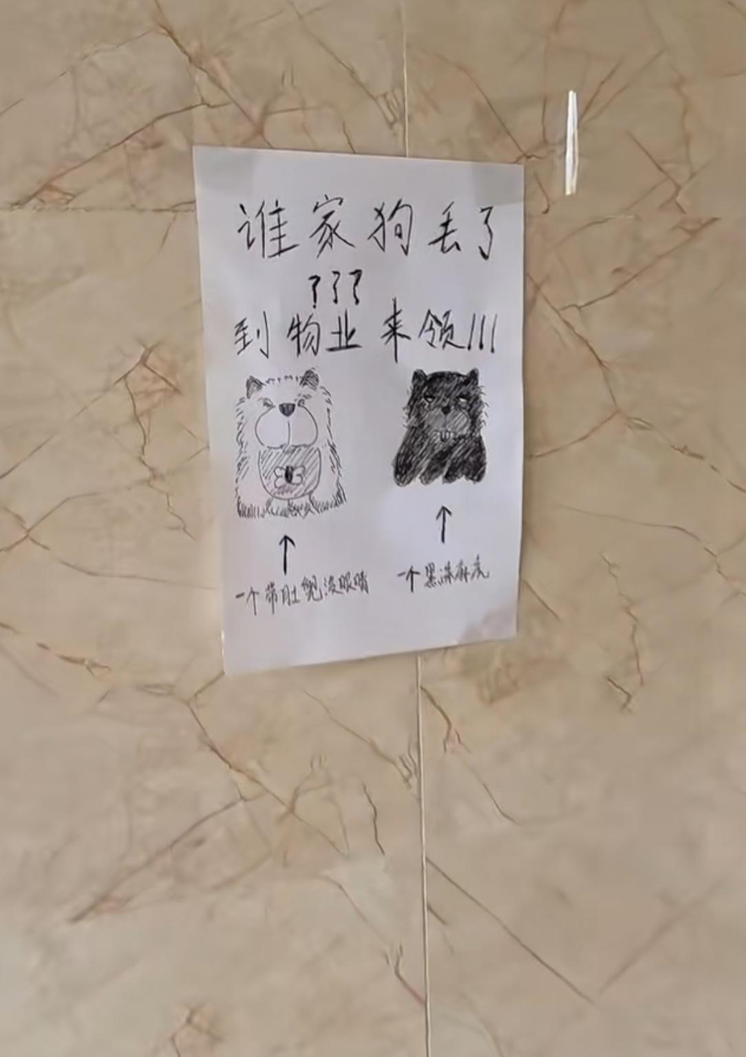 谁家狗丢了？保安画得真像呀！