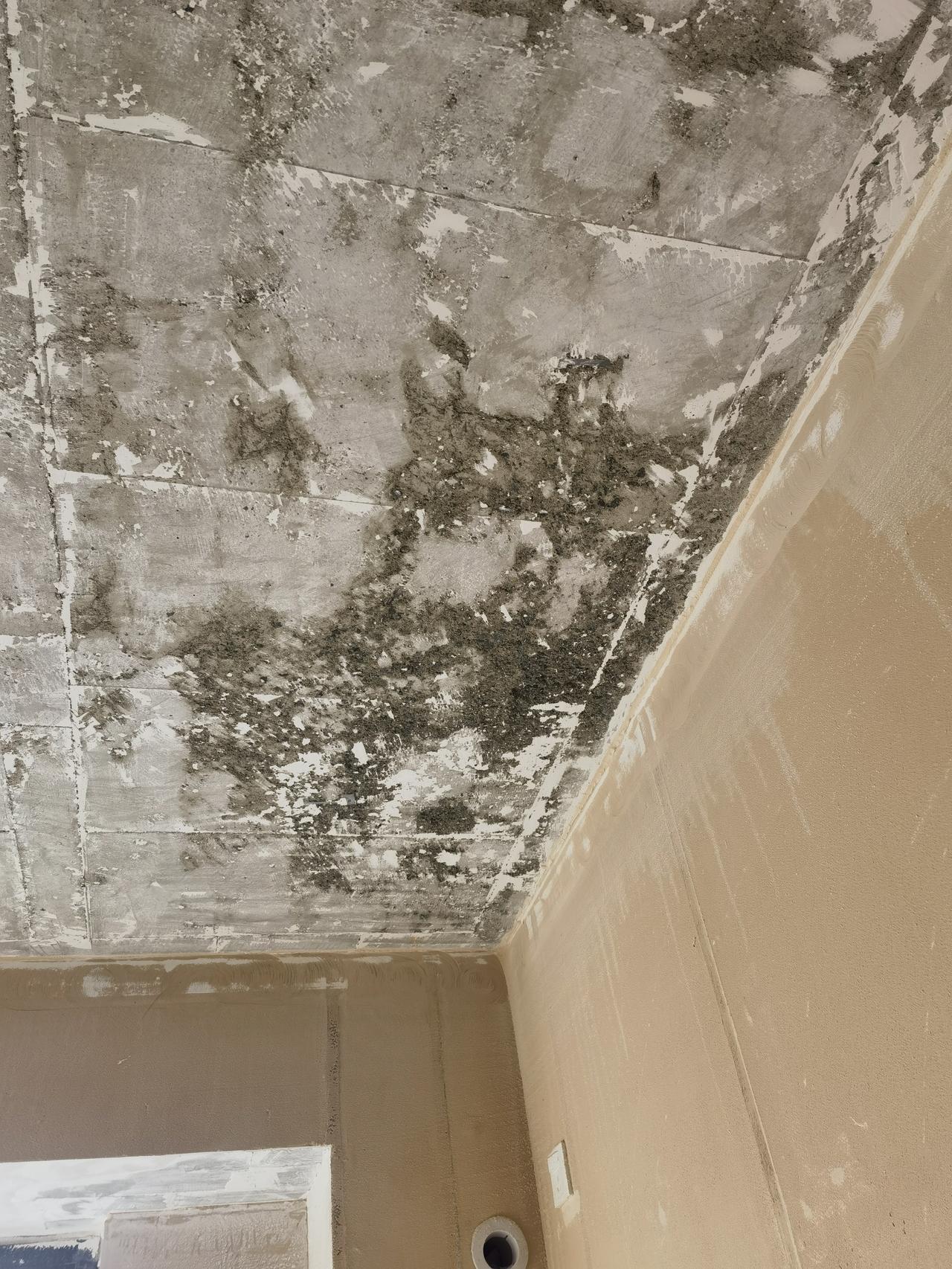 求建筑专业人士解答：谢谢！新房屋顶，铲掉的白灰，灰层出现这样的情况，专业人士