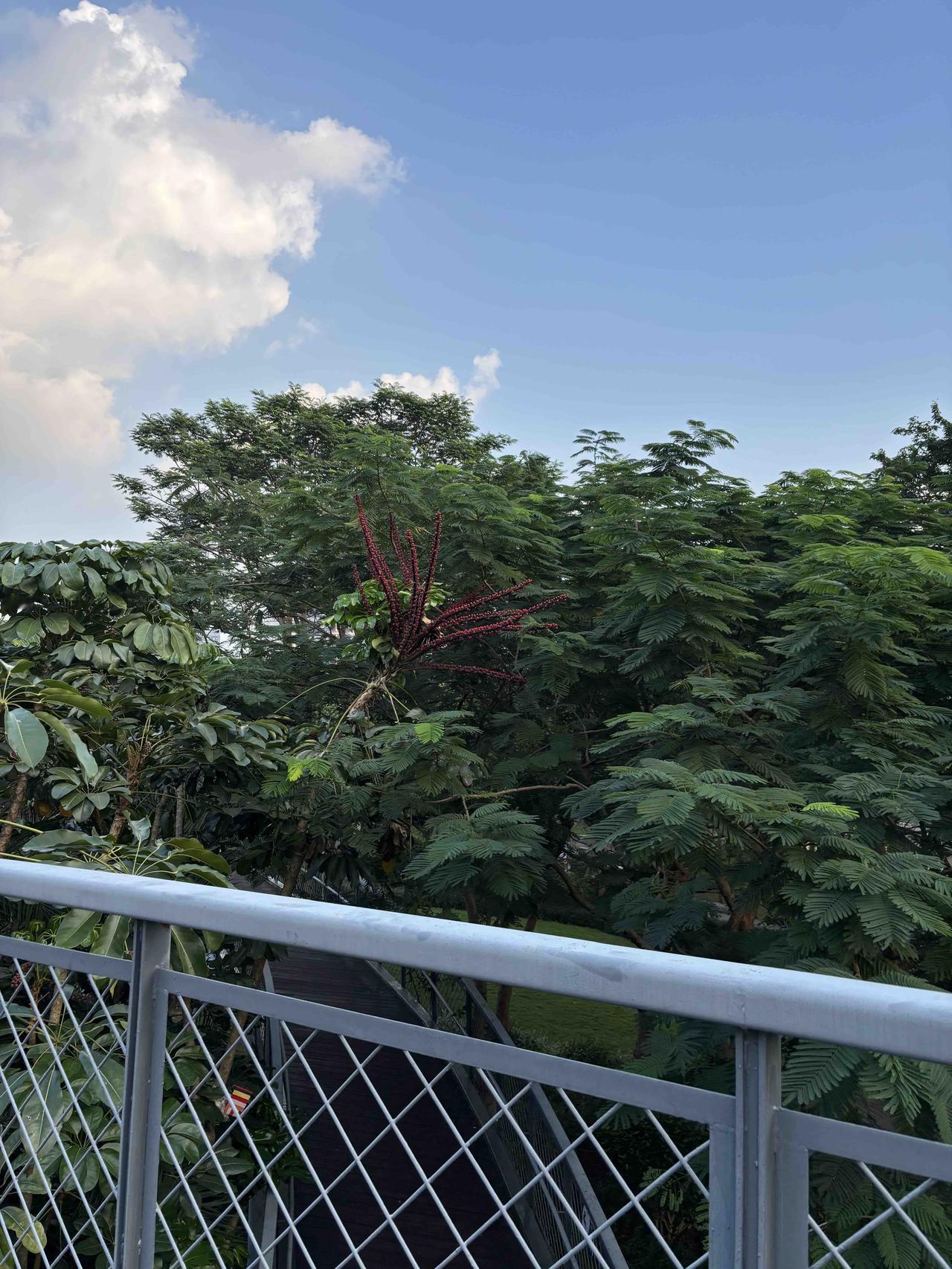 随着返乡潮的兴起，老师又会开始紧缺！现在有老师剩余其中一个主要原因是很多农村教