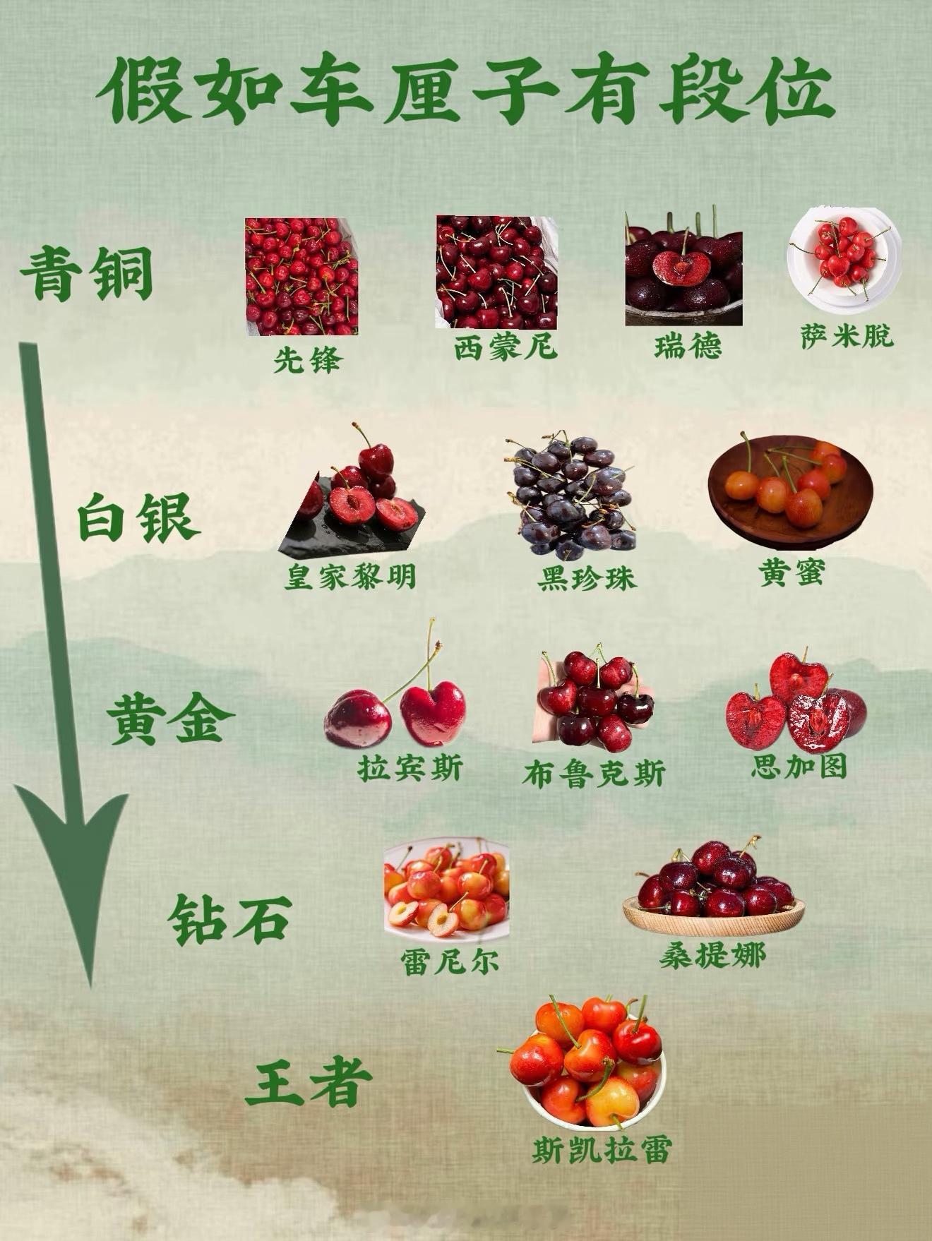 车厘子才是冬季顶流