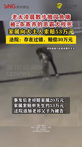 又是养狗惹的祸！上海，一老太为摘粽叶包粽子，独自闯入他人承包的鱼塘，最终被鱼塘内