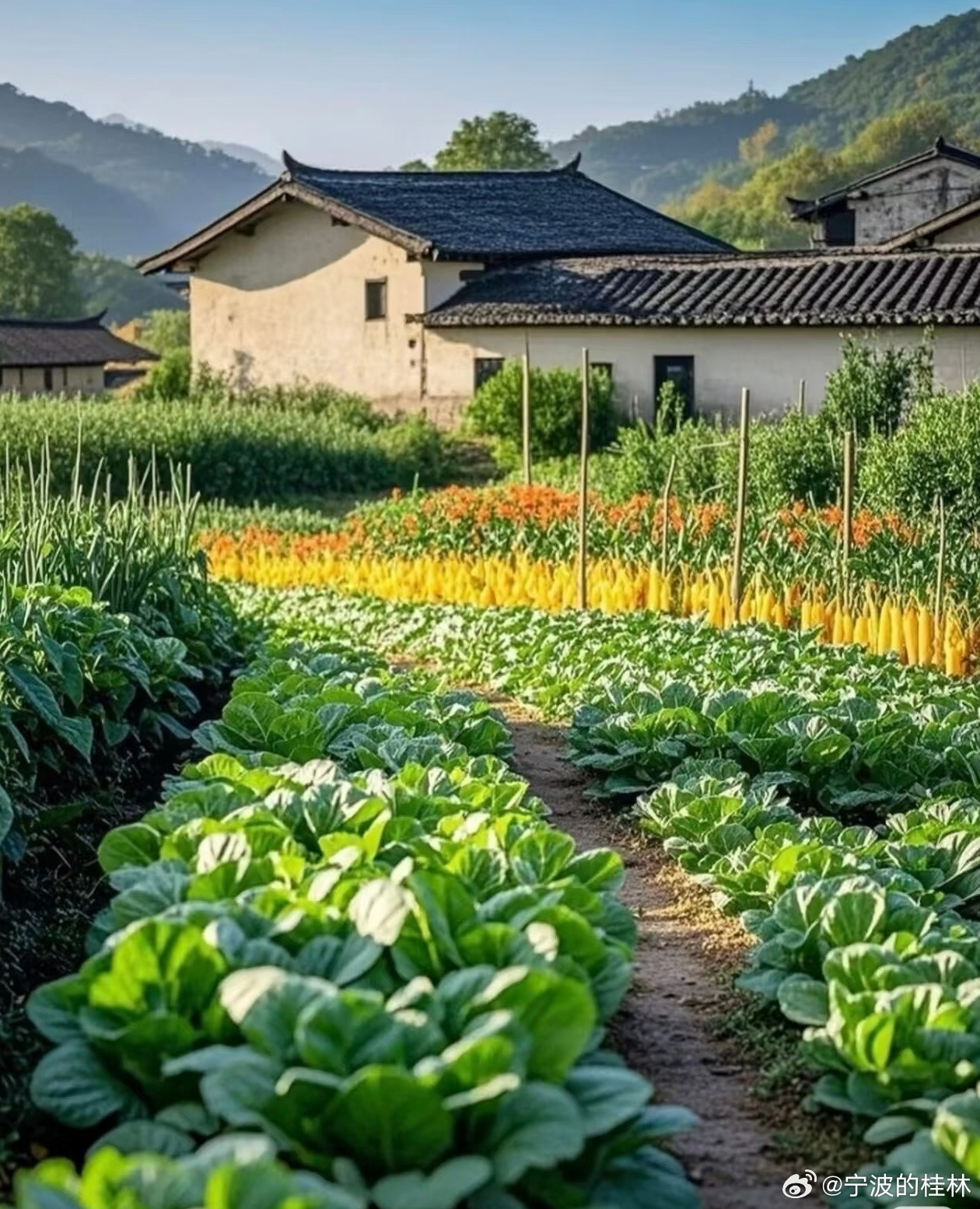 餐桌文化，你懂几何？●从小培养：从孩子能独立进食时起，就应手把手教娃：传授“龙含