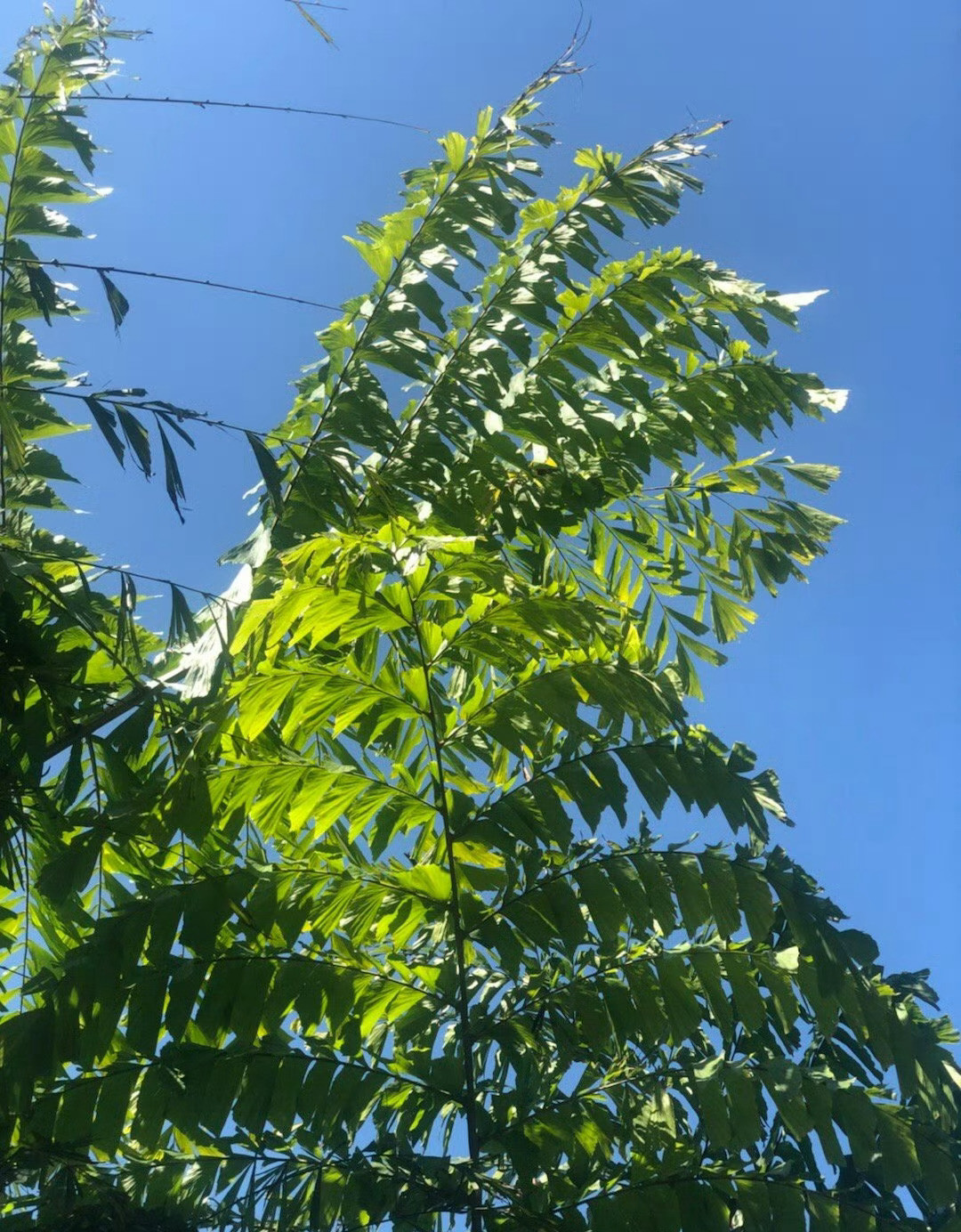 所有人常把幸福读解成“有”，“有车，有房，有钱，有权”。其实幸福应该是“无”，“