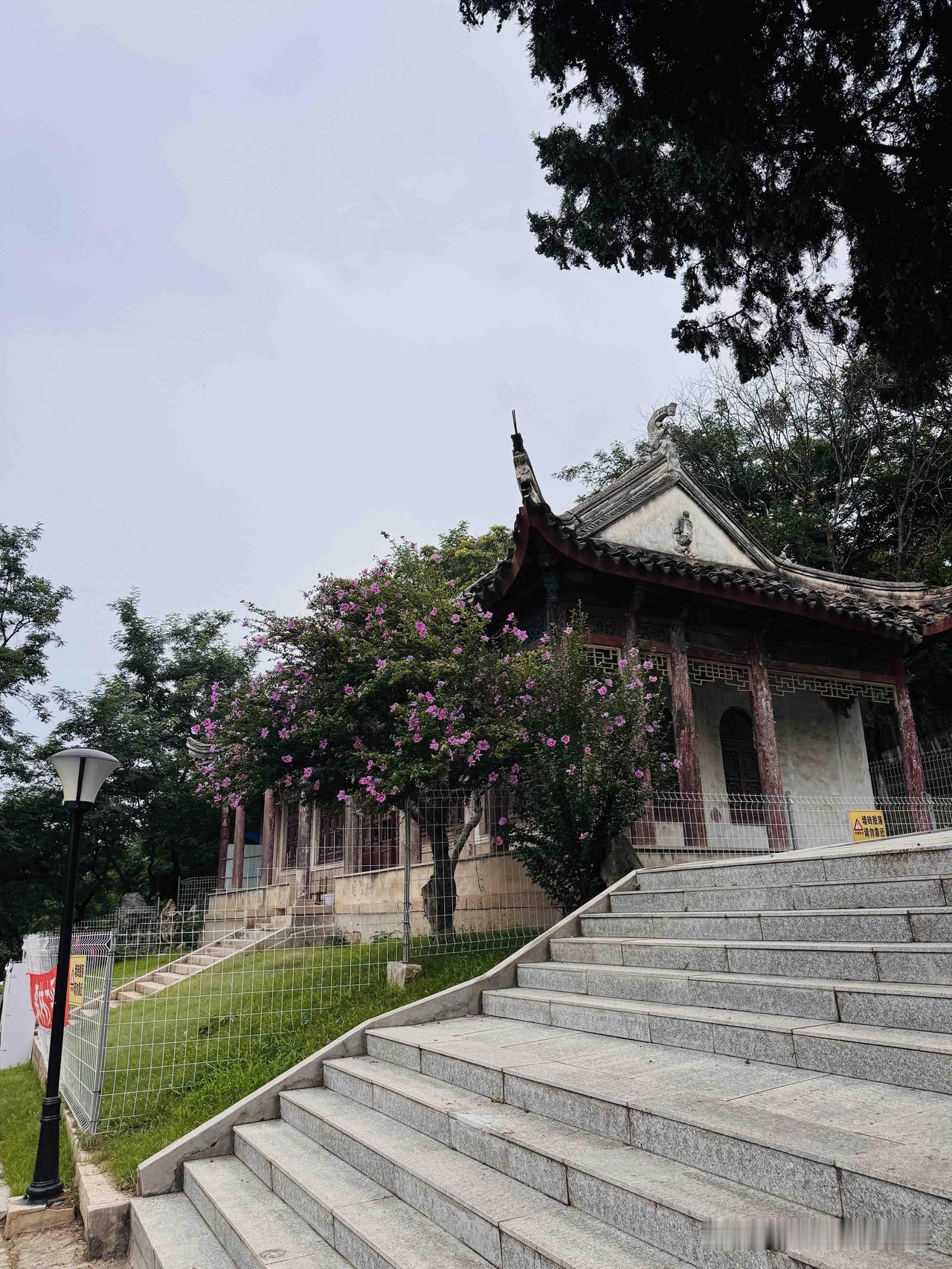 人老了真可怜，即便有钱也没啥大用下午去公园遛狗时，碰到了小区里的一位大姐，她