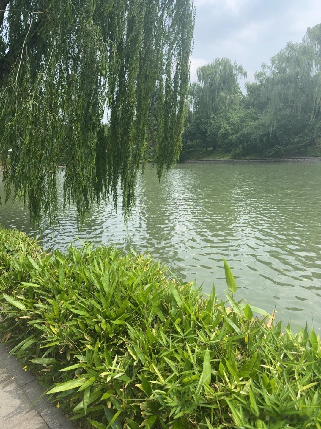 我是听她弟弟说的事。一天我去她弟弟家，弟弟说：姐姐家婆去世，我也随礼了。姐姐