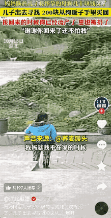 湖北一妈妈竟瞒着儿子卖掉了怀孕快生的母狗！这狗可是最懂事、最会看家，还吃