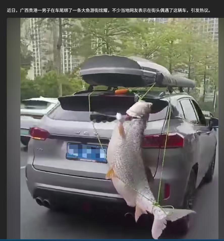 这位车主会受到何种处罚呢？？？海阔试车超话​​​