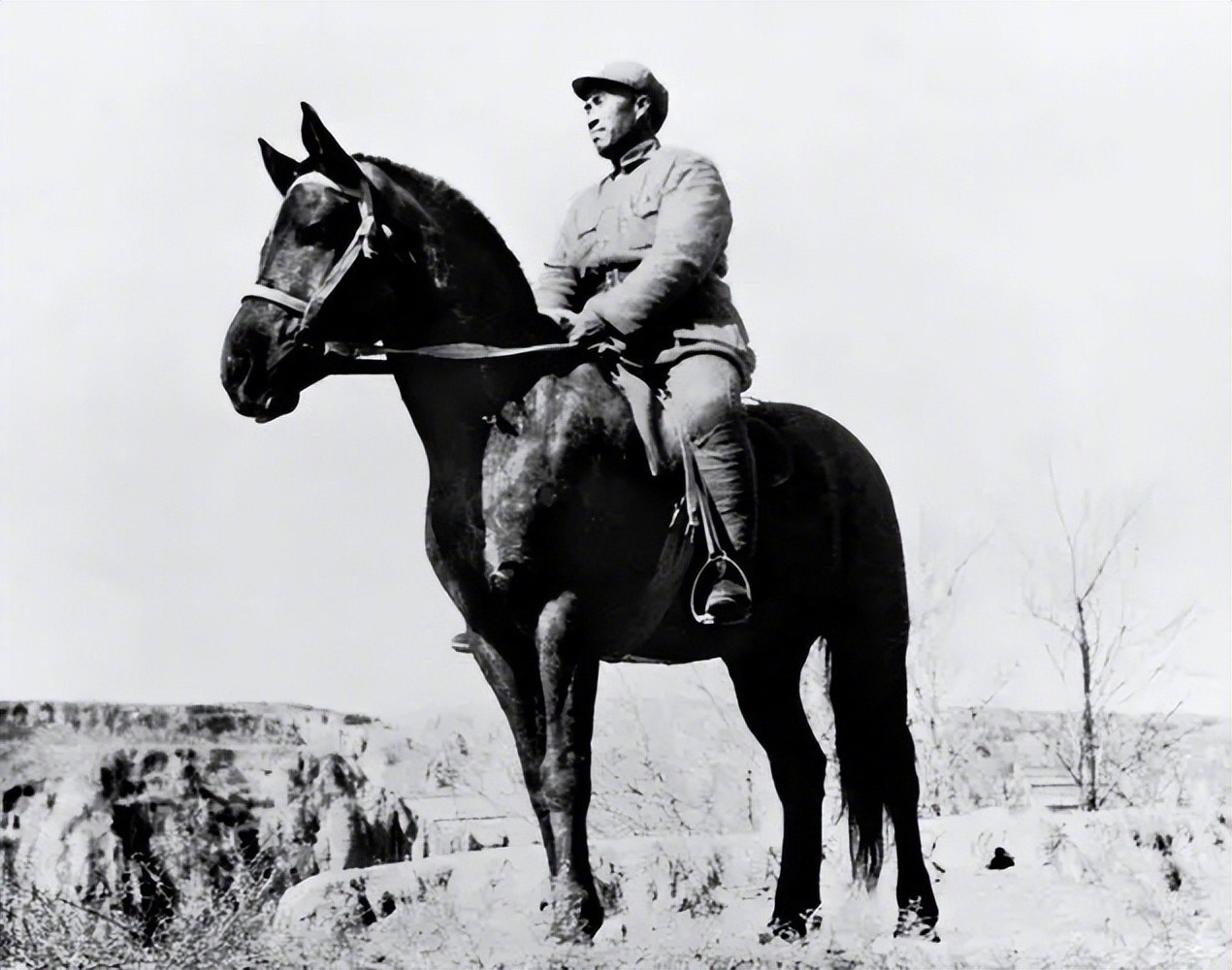 🔻在当年的陕甘宁边区，马匹与粮食、被装一样，属于按标准统一供给的“公产”。19