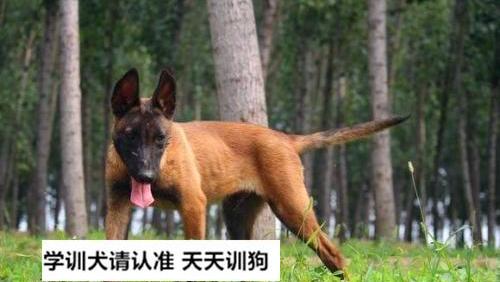 5041649614655807317.jpg?id=0