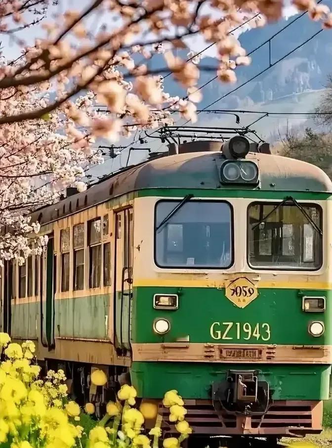 一位七十多岁的老爷子，每月退休金八千，兜里还有积蓄，却给自己定了个硬规矩：一次出