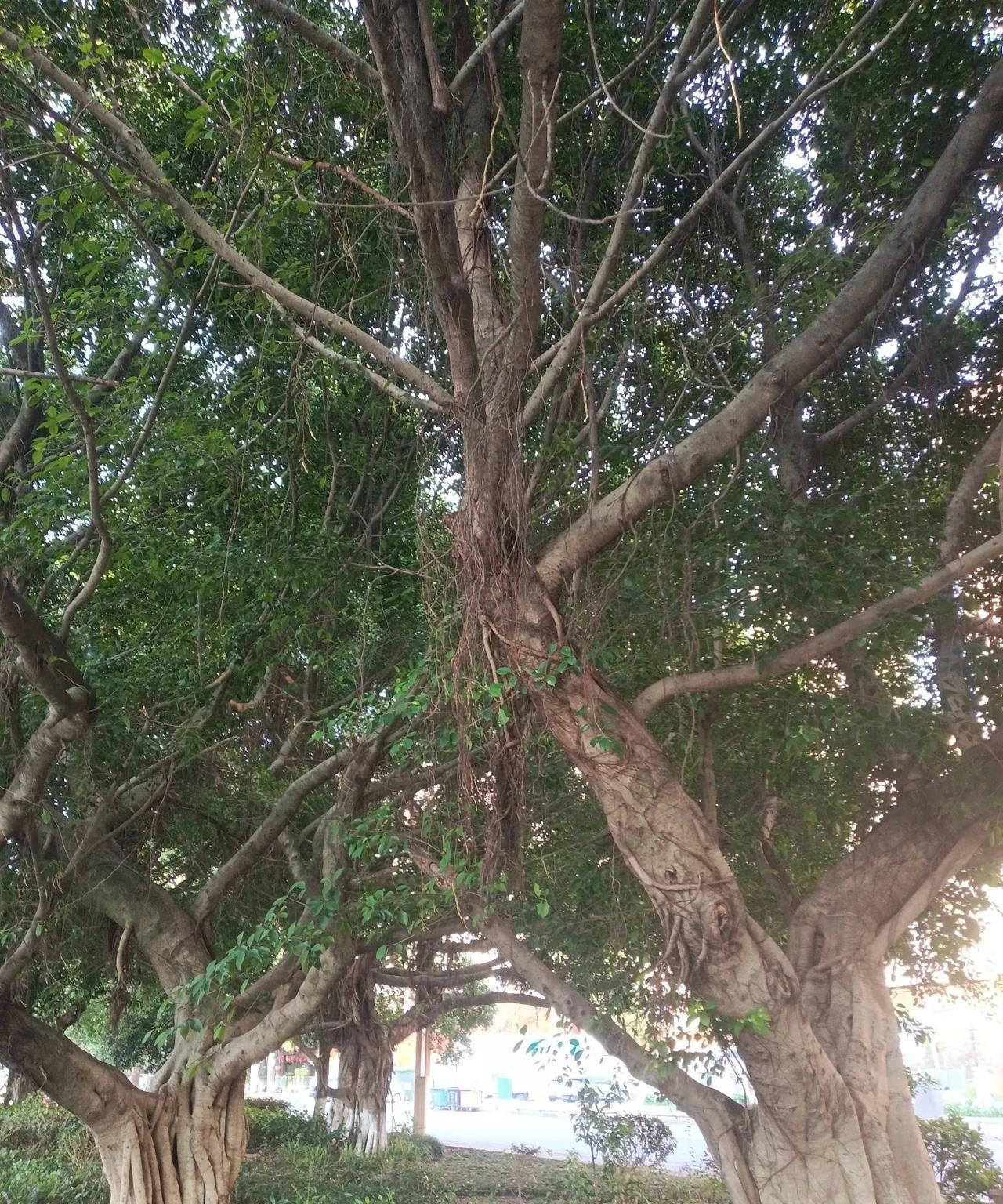 国家出生孩专项补贴要花多少钱？这个账不算不知道，一算吓一跳，拿2024年出生婴