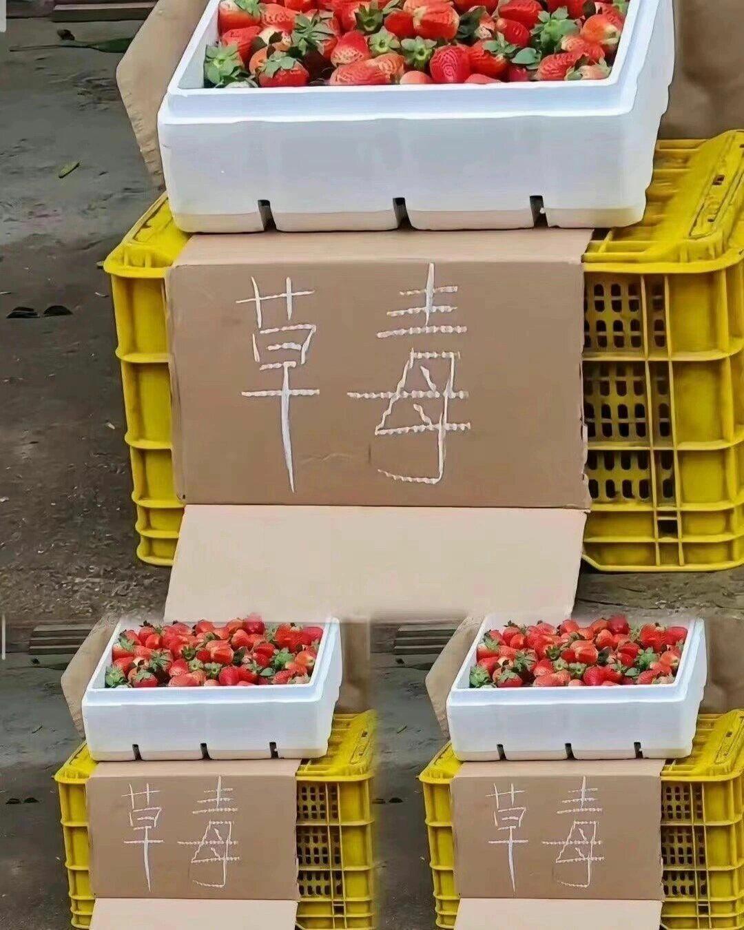 迟早笑死在市场