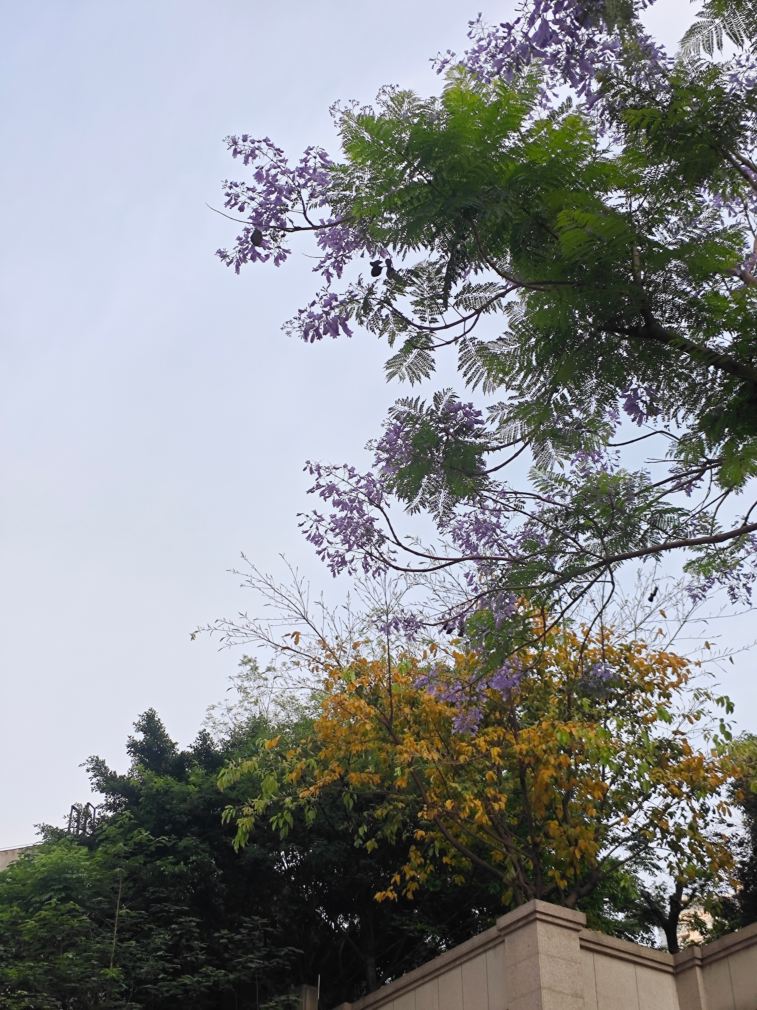 早起跑步，8Km；起床比较早，犹豫了一下，有点没睡醒的感觉，还是下楼跑步了；一抬