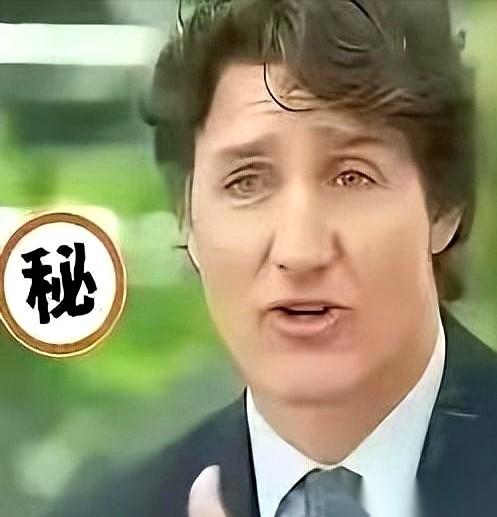 谁能想到，北美最讲义气的“小伙伴”，会在镜头前裸露盟友本色。2026年4月的一场