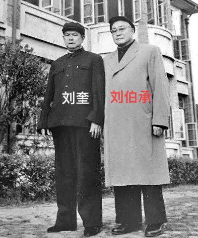 1941年，新四军科长找到刘奎：“上级决定让你留下来打游击。”刘奎一愣：“就我