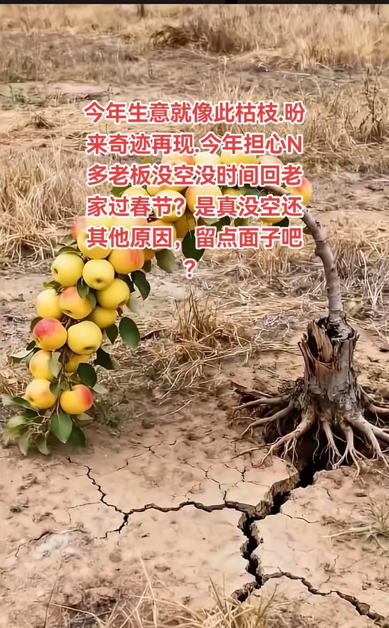 看过来，有可能