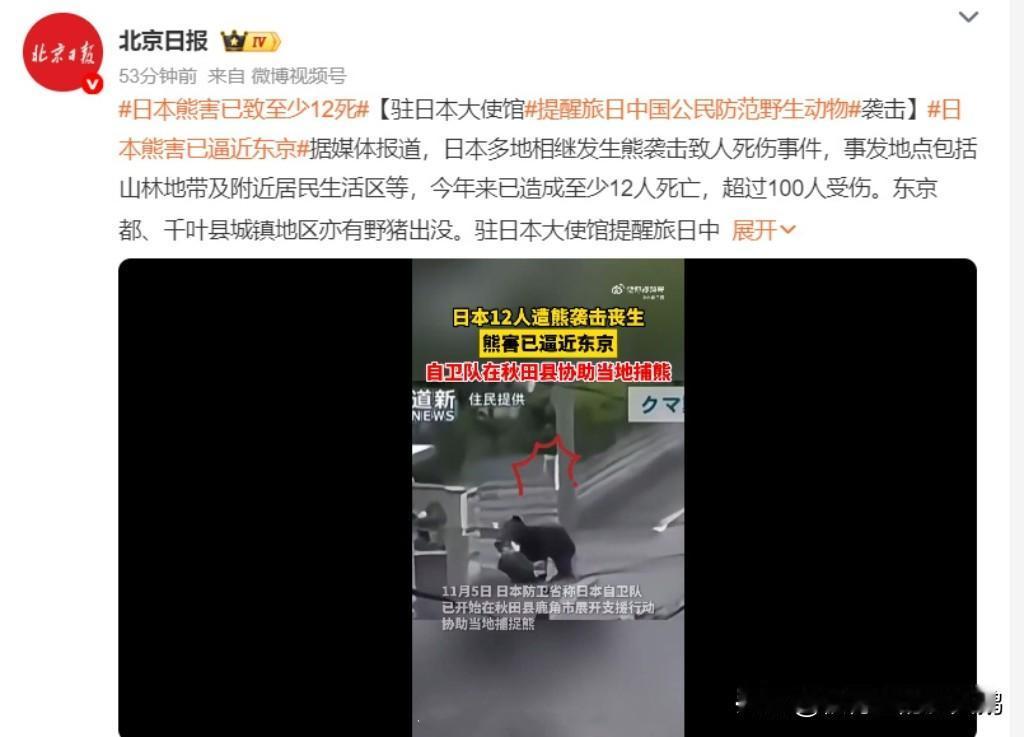 有没有一种可能，它们是伪装成熊的俄罗斯人……[狗头][狗头][狗头][狗头]