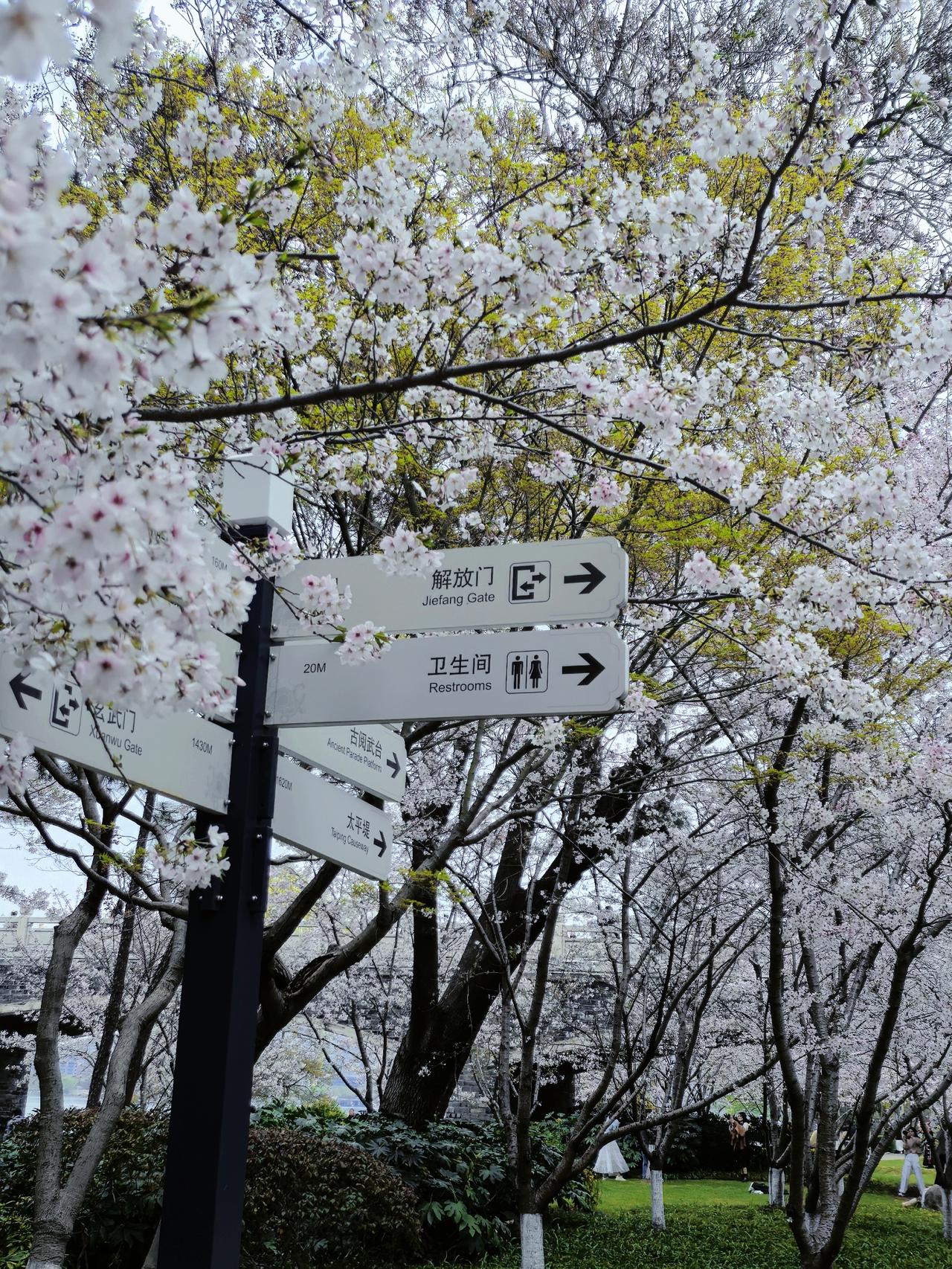 我特别羡慕一位朋友，他儿子在玄外上学，学习极为主动，基本不用他操心。初二时，这孩