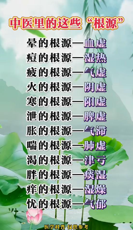 中医科普：看懂常见不适，找准问题的体质根源