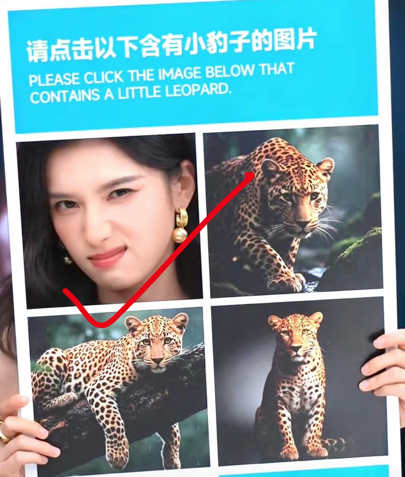 已选，张婧仪豹塑已成🐆​​​