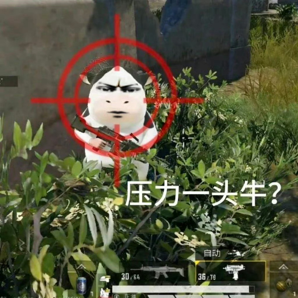 道心碎了