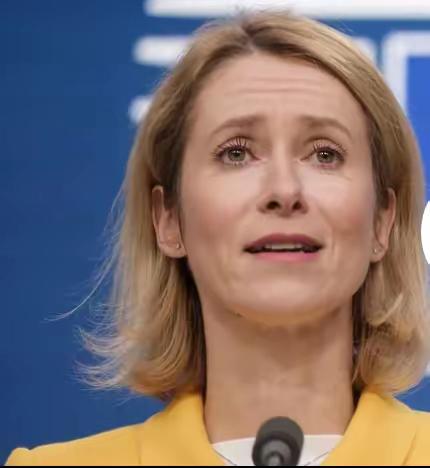 欧盟不甘心被晾一边啊！据路透社报道，卡拉斯于2月10日星期二在布鲁塞尔对记者