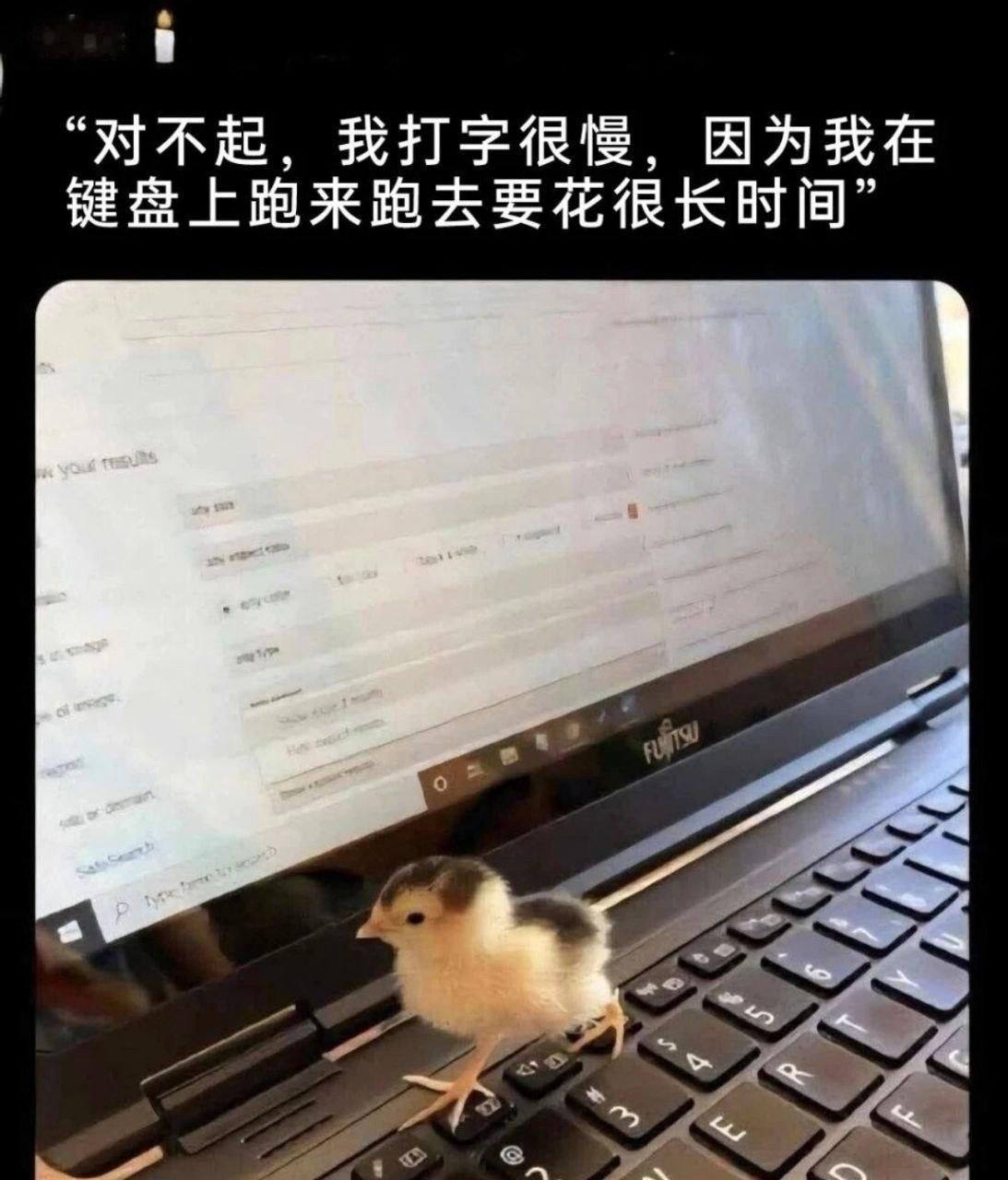 不好意思