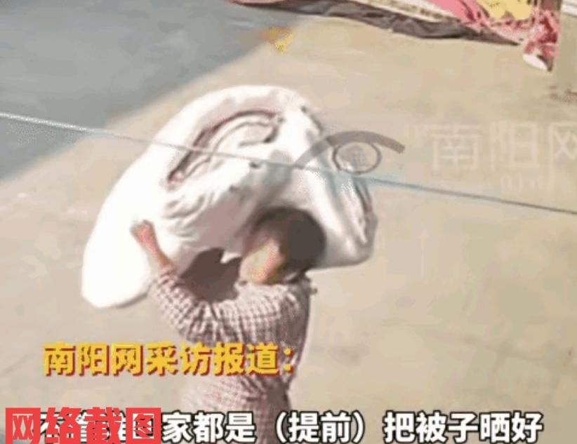 河南商丘有在外地的夫妻准备回老家。夫妻俩还提前给家里打了电话，家里婆婆把夫妻