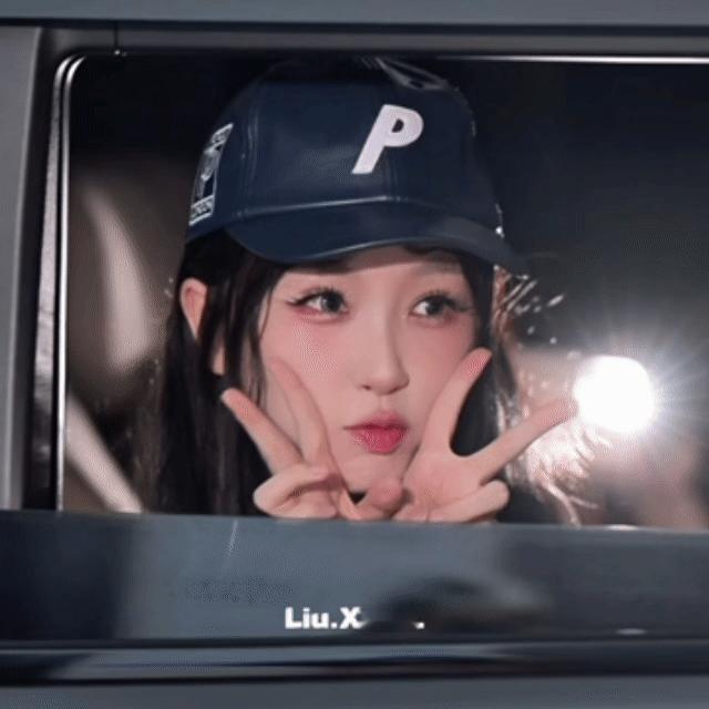 萌兔来的​​​