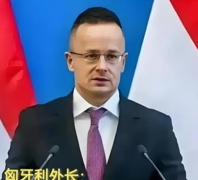 现在全欧洲最后悔的就是德国了吧！不是因为中国，也不是因为美国，而是因为匈牙利。