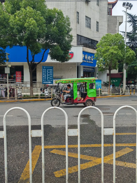 武汉街头的麻木又死灰复燃。曾几何时麻木在武汉销声匿迹，如今又在大街小巷看到它到处