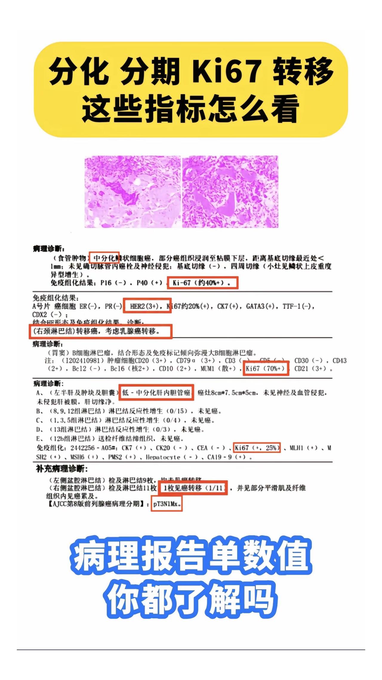 有问题的可以评论区留单子，我帮您看