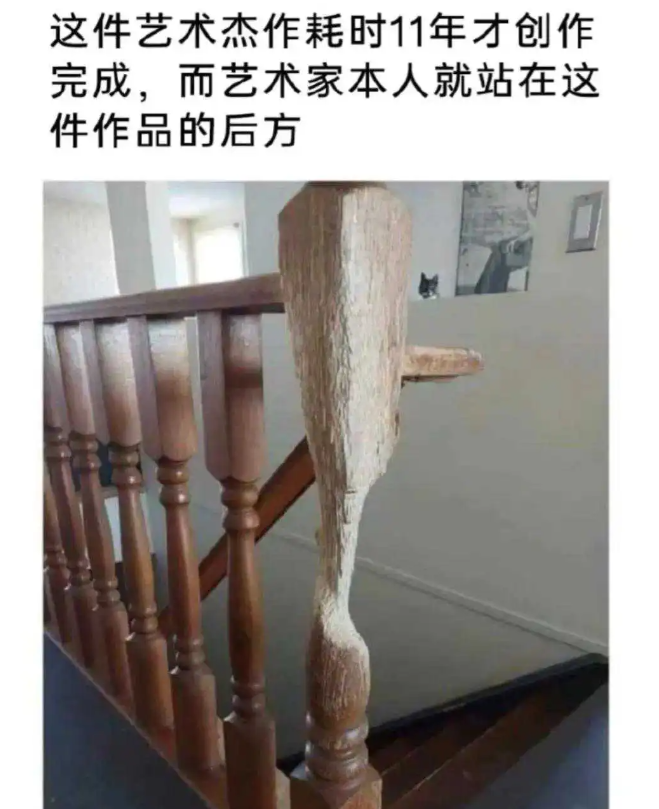 这艺术家，长的不太对吧
