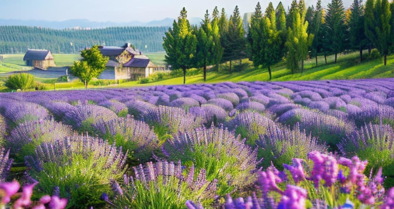 现代婚姻正变得比以往更复杂也更多元。2023年的数据显示，婚姻登记数下降，但离婚