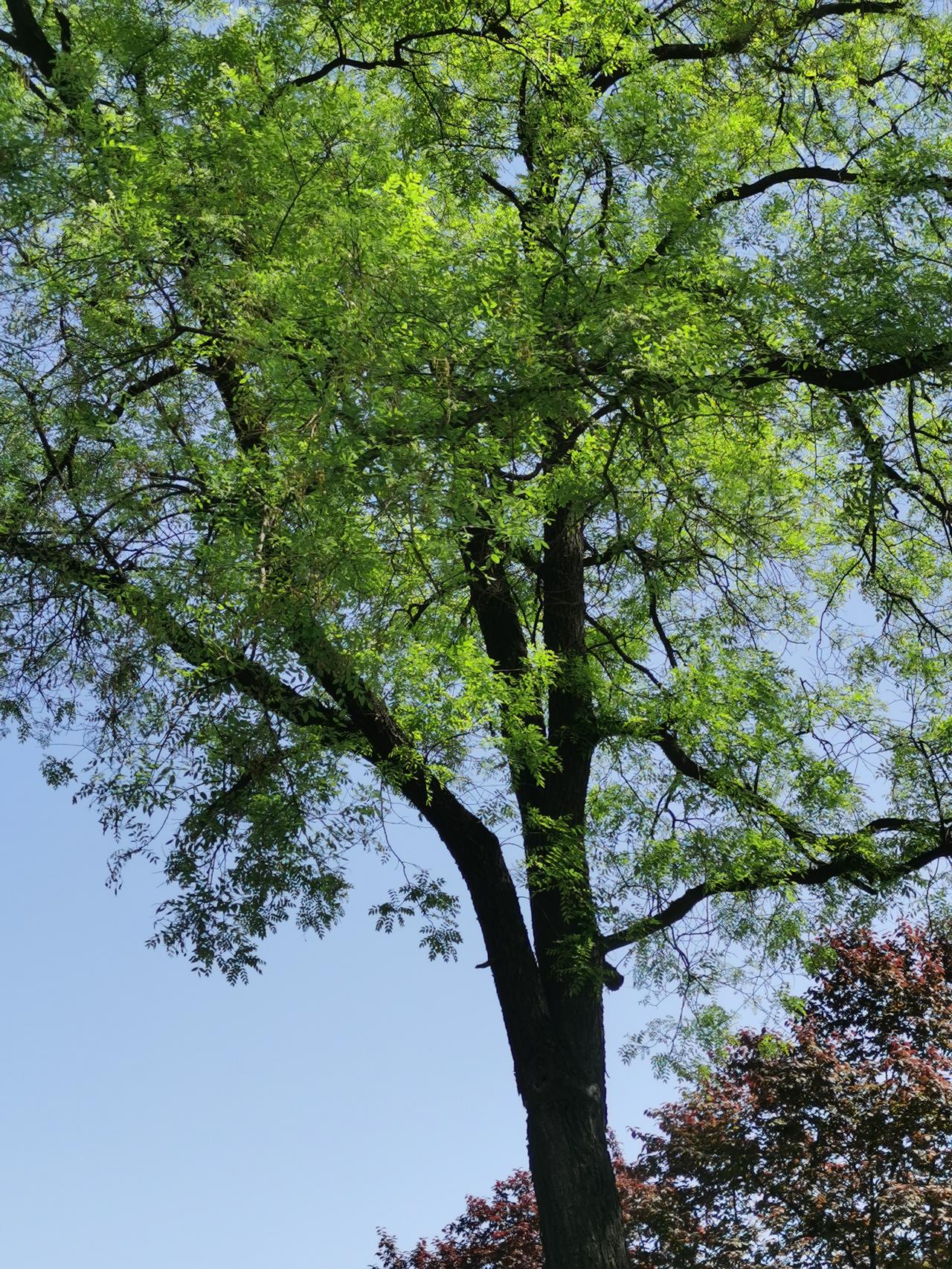 春天的景色如画如诗，随手一拍多彩多姿。春日风光，本就是一幅流动的画，一首无言